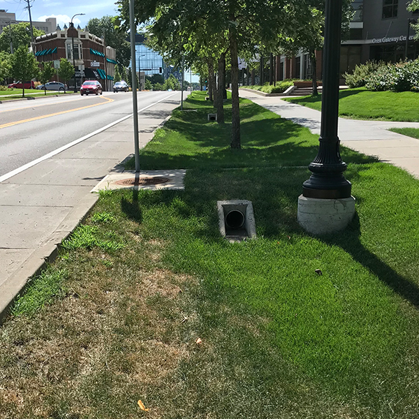 Example of installed green stormwater infrastructure: Bioswale