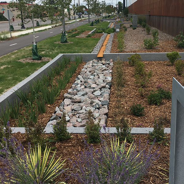 Example of installed green stormwater infrastructure: Raingarden