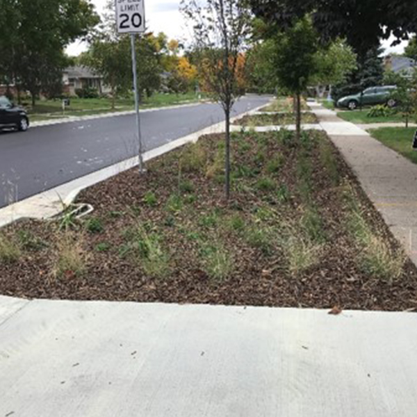 Example of installed green stormwater infrastructure: Tree trench