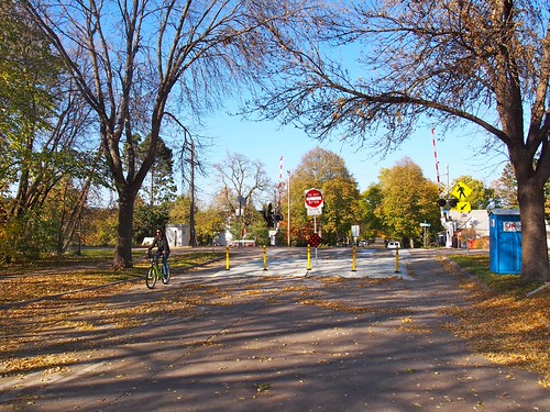 Person biking on a tree-lined neighborhood greenway trail approaching a street crossing